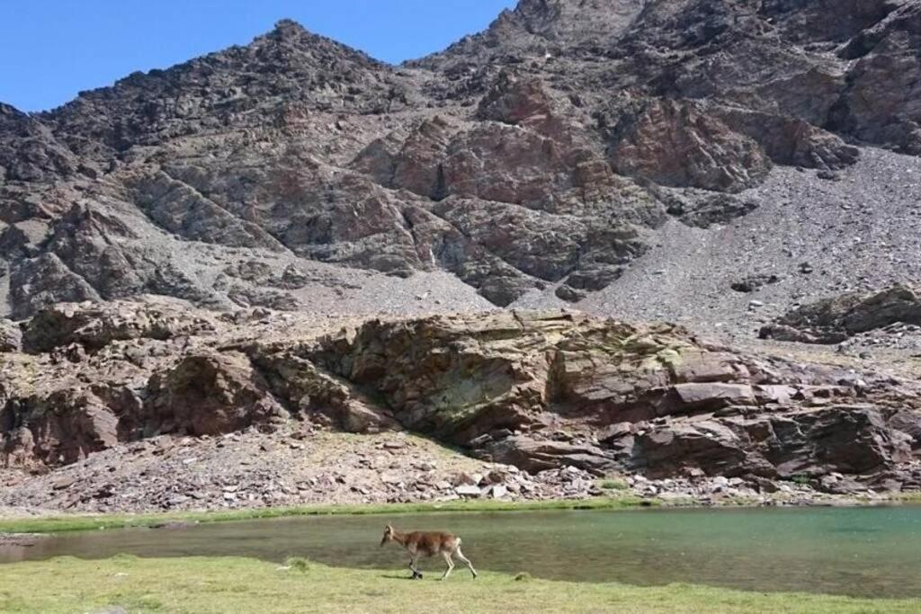 Hébergement de vacances Casa La Solea. Vistas Al Pueblo Y La Sierra *